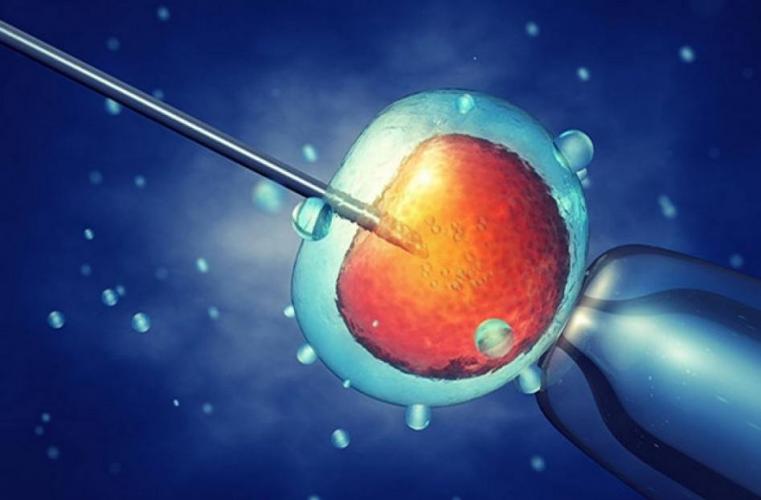 MATERNIDAD  por Reproducción Asistida