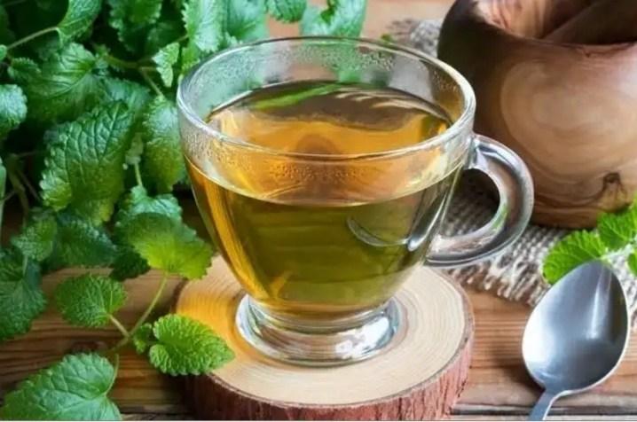 lemon balm: what is it, what is it for and how to prepare it
