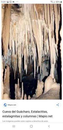 La Cueva del Guácharo, fascinante e invaluable monumento natural