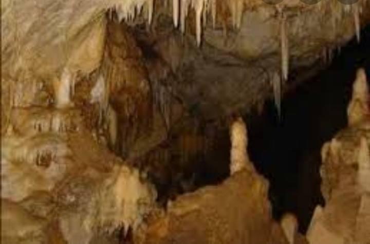 La Cueva del Guácharo, fascinante e invaluable monumento natural