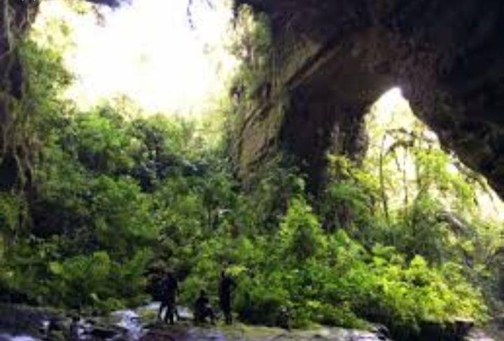 La Cueva del Guácharo, fascinante e invaluable monumento natural