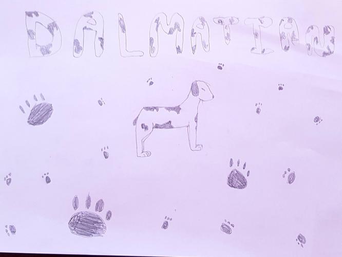 Spotty Dalmation Doodle