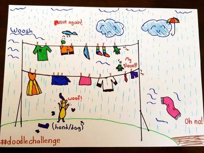 Ultimate-washing-line disadvantages