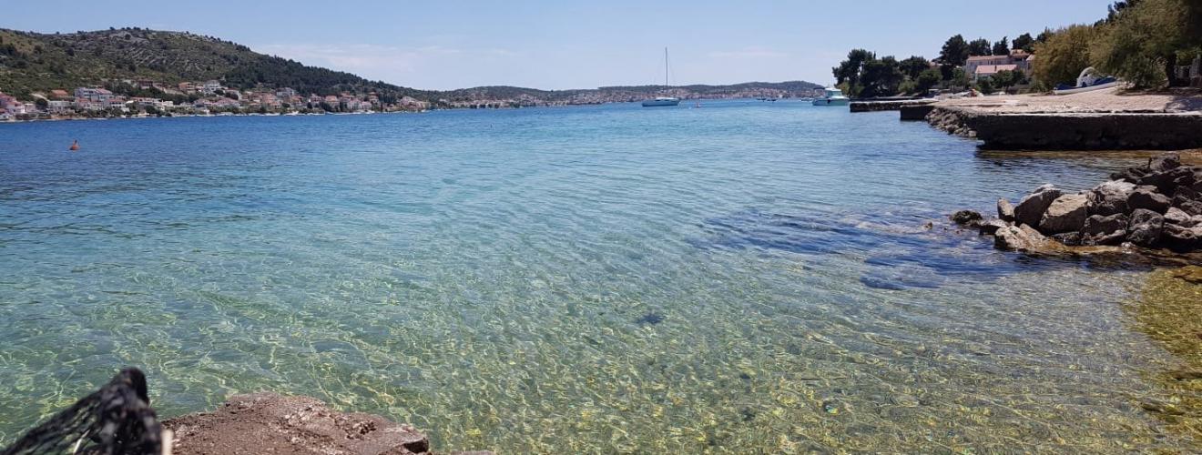 Do you like seafood?