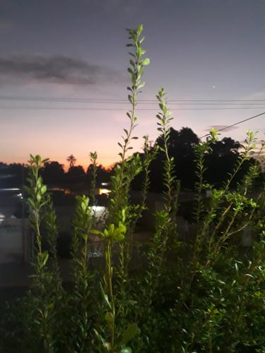 I wish you have a wonderful day 