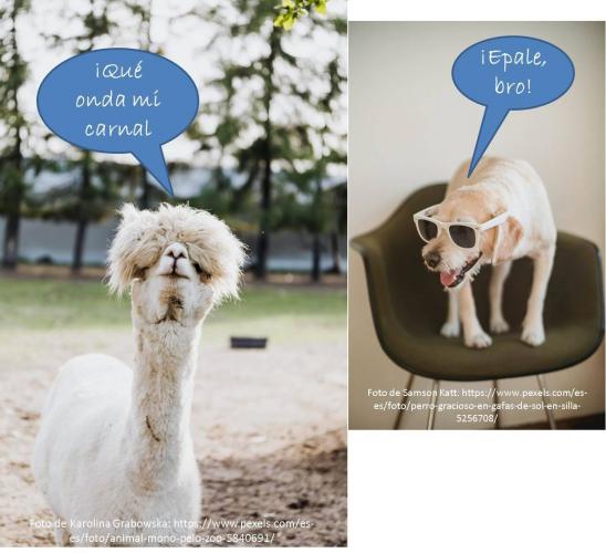 Decifrando el lenguaje animal