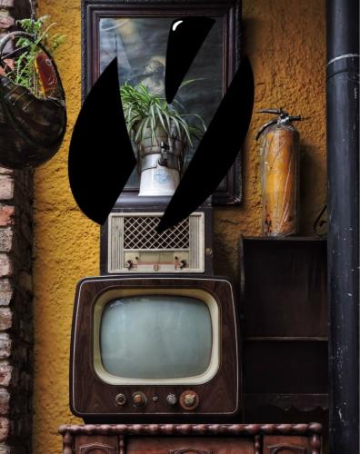 What was your first experience with the internet?