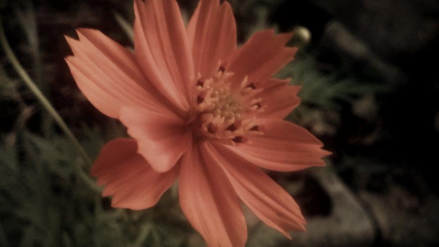 Hermosa naturaleza, romantica.