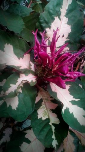 Hermosa naturaleza, romantica.