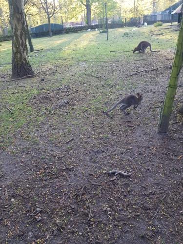 Gedicht Met Pijn En Zonneschijn.