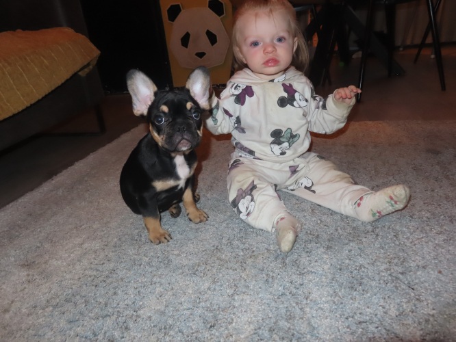 Lynn samen met Ferry