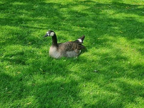 Veel te vroeg bij school wat doe je dan?
