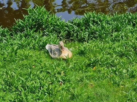 Veel te vroeg bij school wat doe je dan?
