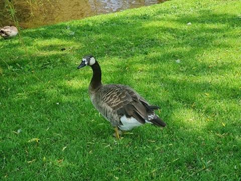 Veel te vroeg bij school wat doe je dan?