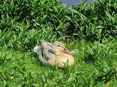 Veel te vroeg bij school wat doe je dan?