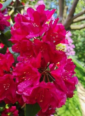 Veel te vroeg bij school wat doe je dan?