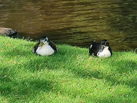 Veel te vroeg bij school wat doe je dan?