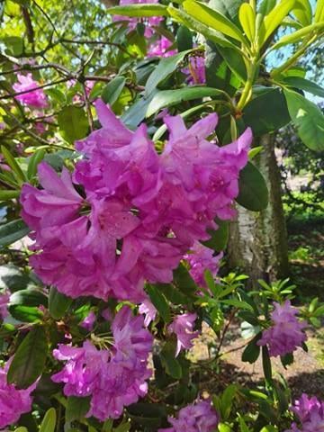 Veel te vroeg bij school wat doe je dan?