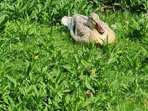 Veel te vroeg bij school wat doe je dan?