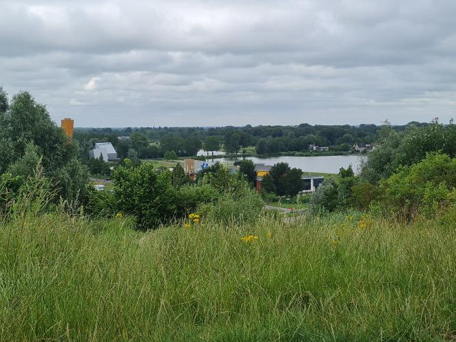 What do you do on a Sunday afternoon?