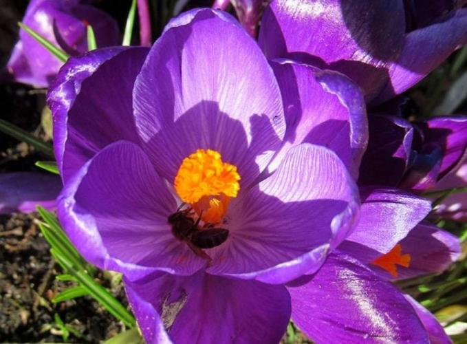 Een heerlijke wandeling