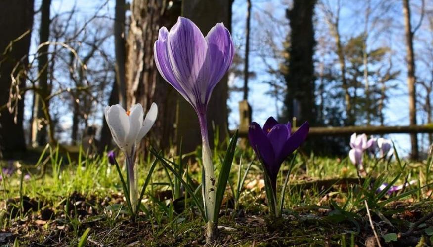Een heerlijke wandeling