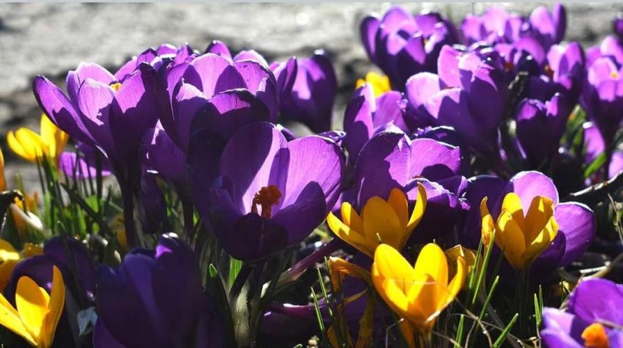 Een heerlijke wandeling