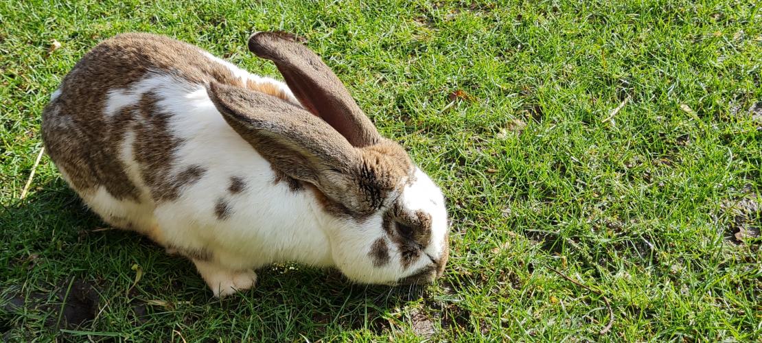 Een heerlijk Zonnig Dagje