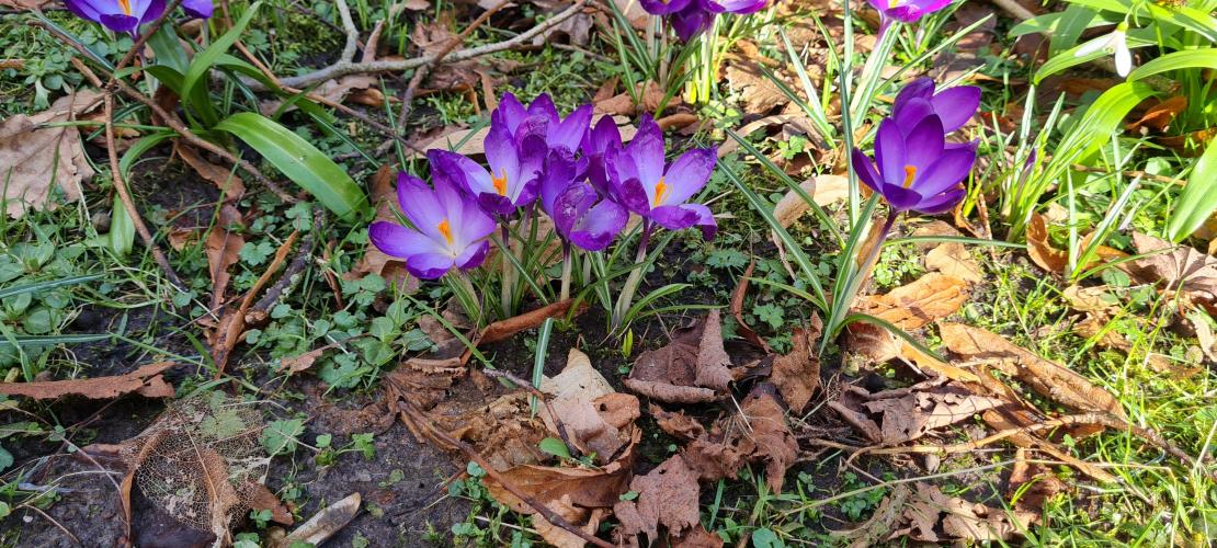 Een heerlijk Zonnig Dagje