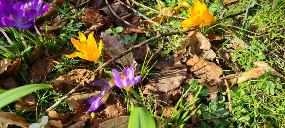 Een heerlijk Zonnig Dagje