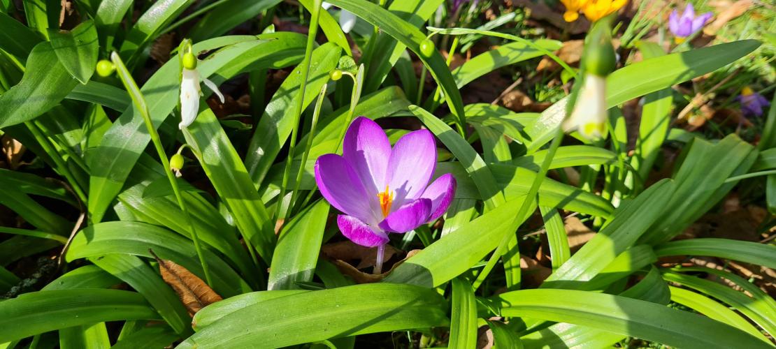 Een heerlijk Zonnig Dagje