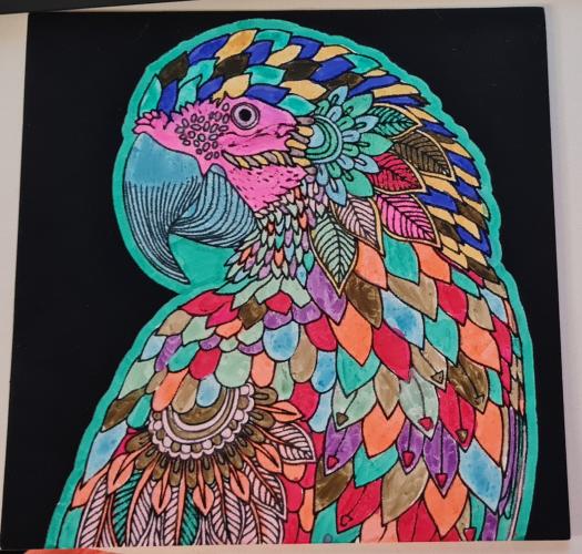 Colloring velvet kleurplaat papegaai