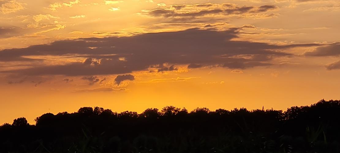 Mooie avond vissen in zuidlaren