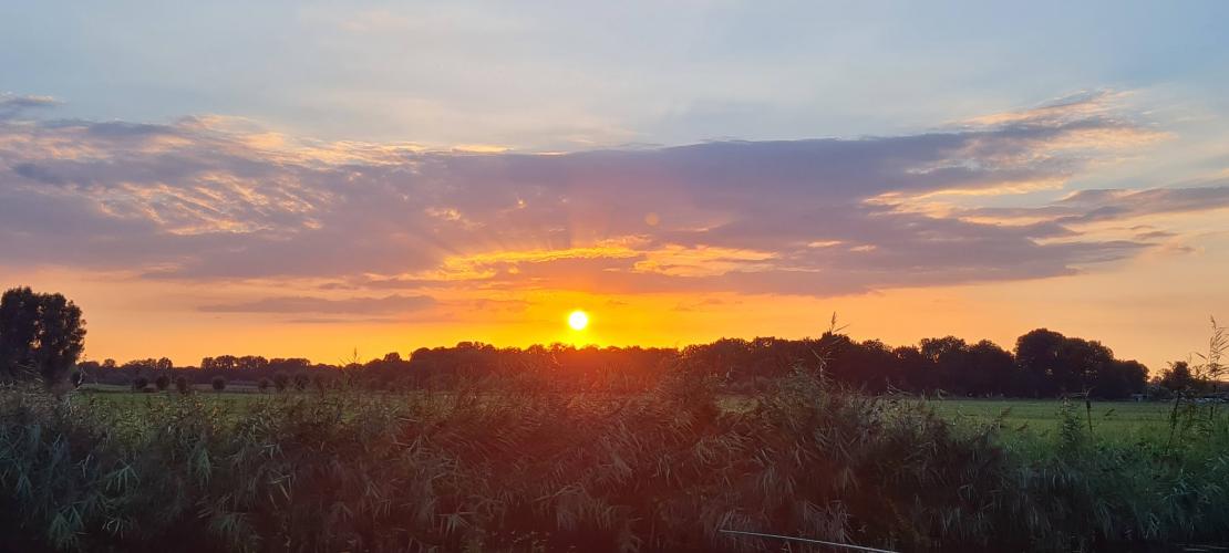 Mooie avond vissen in zuidlaren