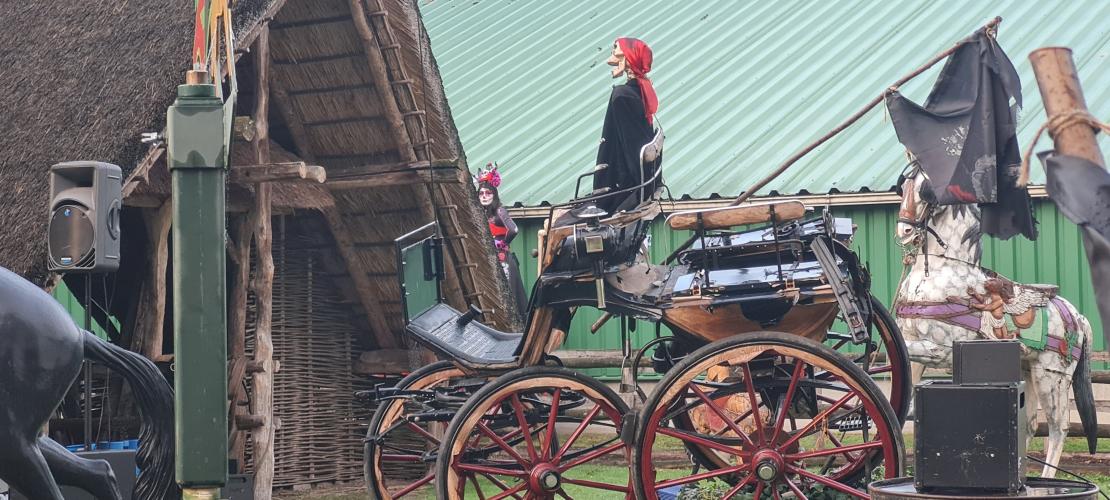 Halloween drouwenerzand 2022