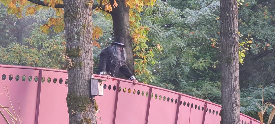 Halloween drouwenerzand 2022