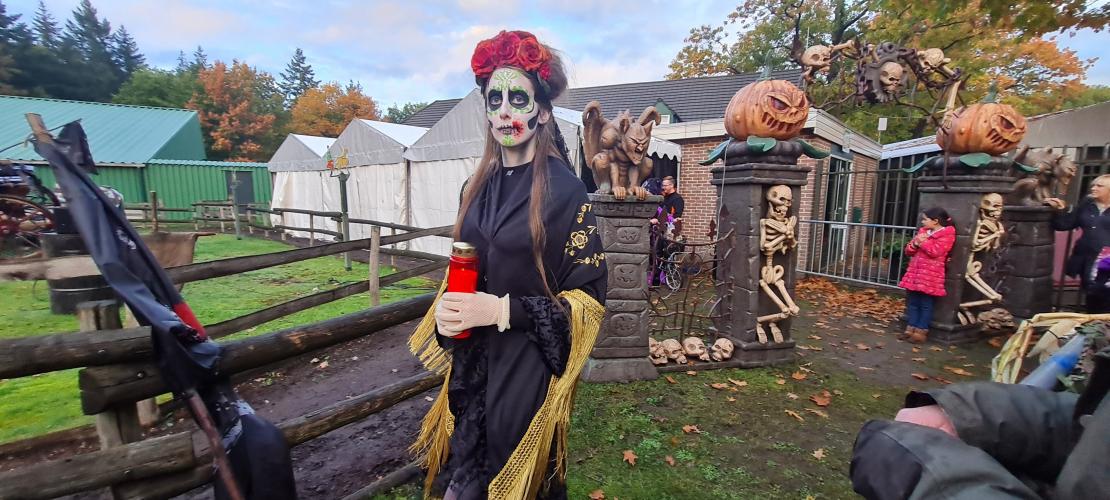 Halloween drouwenerzand 2022