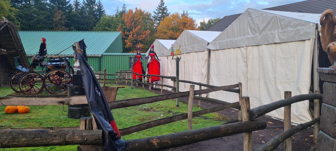 Halloween drouwenerzand 2022