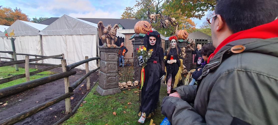 Halloween drouwenerzand 2022