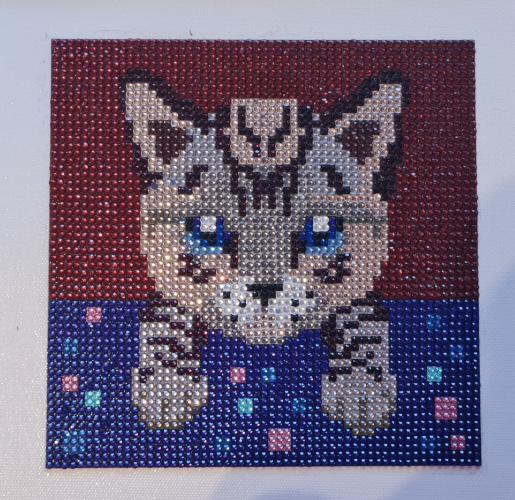 Poes Diamond painting