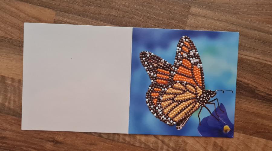 Beautiful Butterfly Card