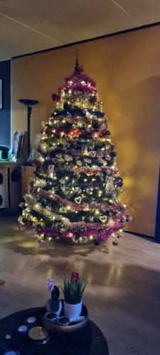 Onze kerstboom staat