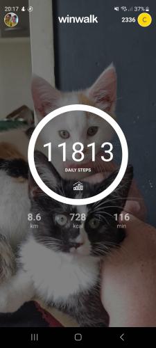 8,6 km gelopen in de avond