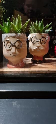 What wonderful things you find