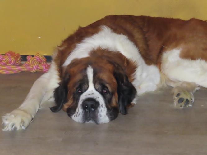 Building a beautiful relationship