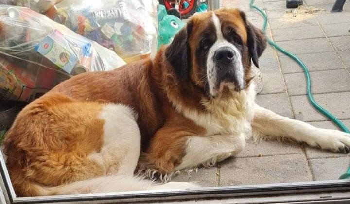 Epilepsy changes your life