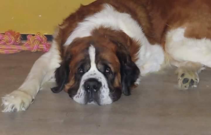 Epilepsy changes your life