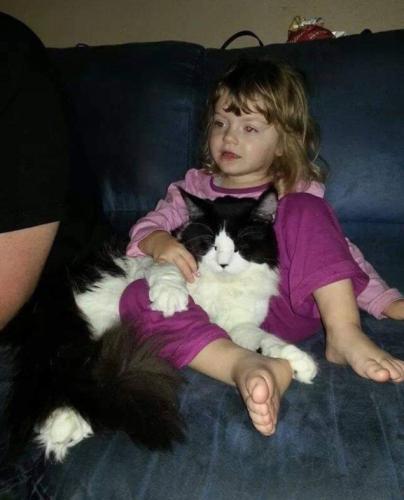 Rest in peace sweet speedy