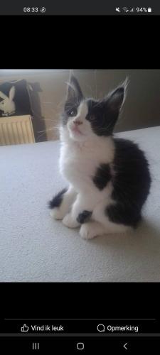 Rest in peace sweet speedy