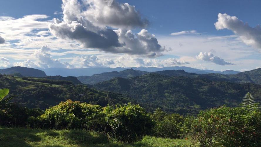 Se puede ver a Dios en la naturaleza.
